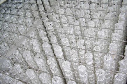 组合填料的选型及技术参数